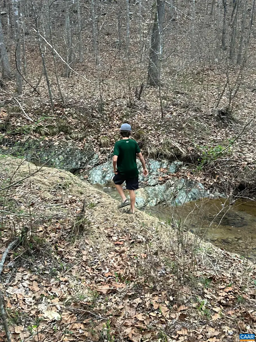 TBD Union Hill Dr, Wingina, VA 24599 - #3