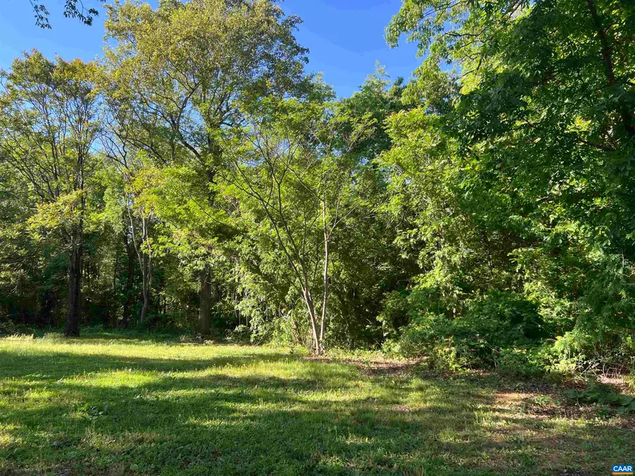 2812 Secretarys Rd, Scottsville, VA 24590 - #3