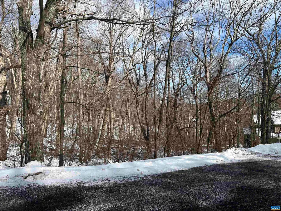 25 Poll Axe Ln, Wintergreen Resort, VA 22967 - #2