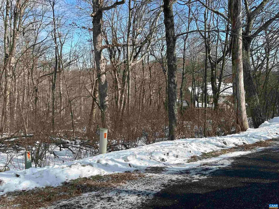 25 Poll Axe Ln, Wintergreen Resort, VA 22967 - #3