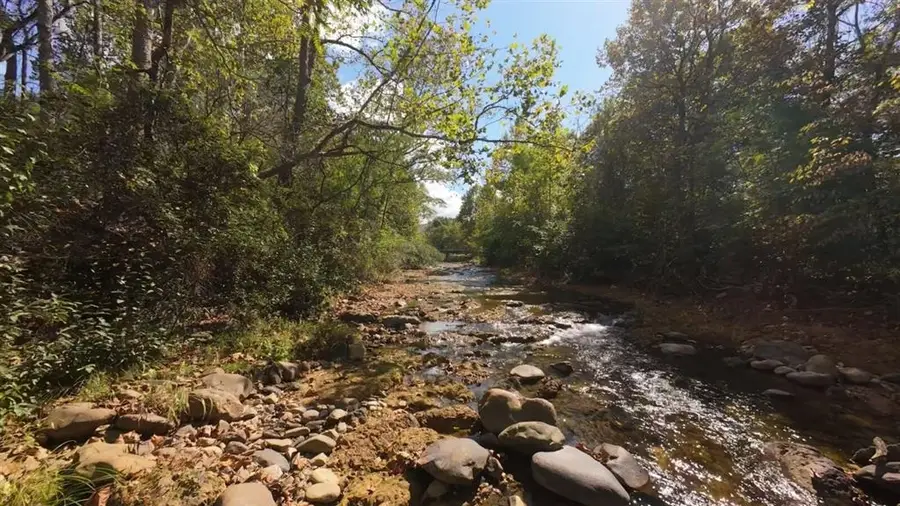 001 Mt Torrey Rd, Lyndhurst, VA 22952 - #2