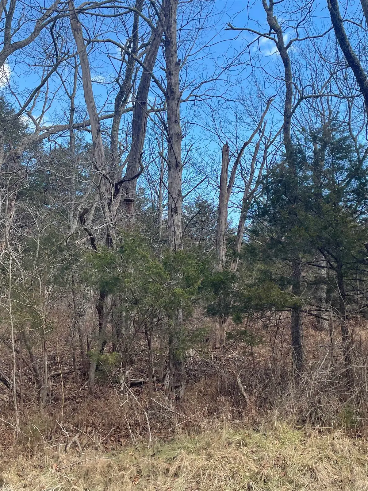 TBD Walker Creek Rd, Middlebrook, VA 24459 - #1