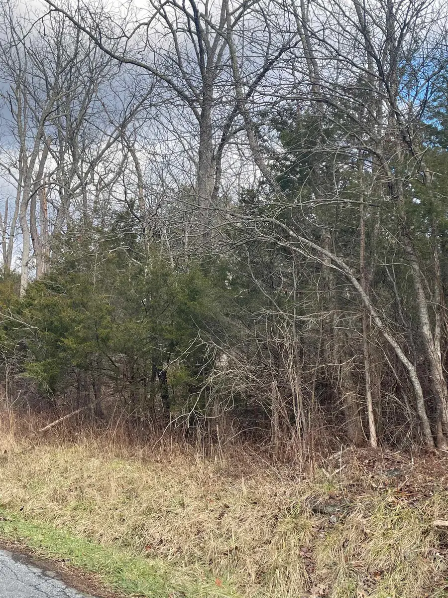 TBD Walker Creek Rd, Middlebrook, VA 24459 - #2