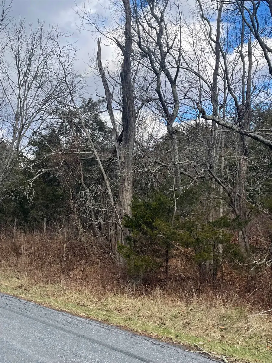 TBD Walker Creek Rd, Middlebrook, VA 24459 - #3