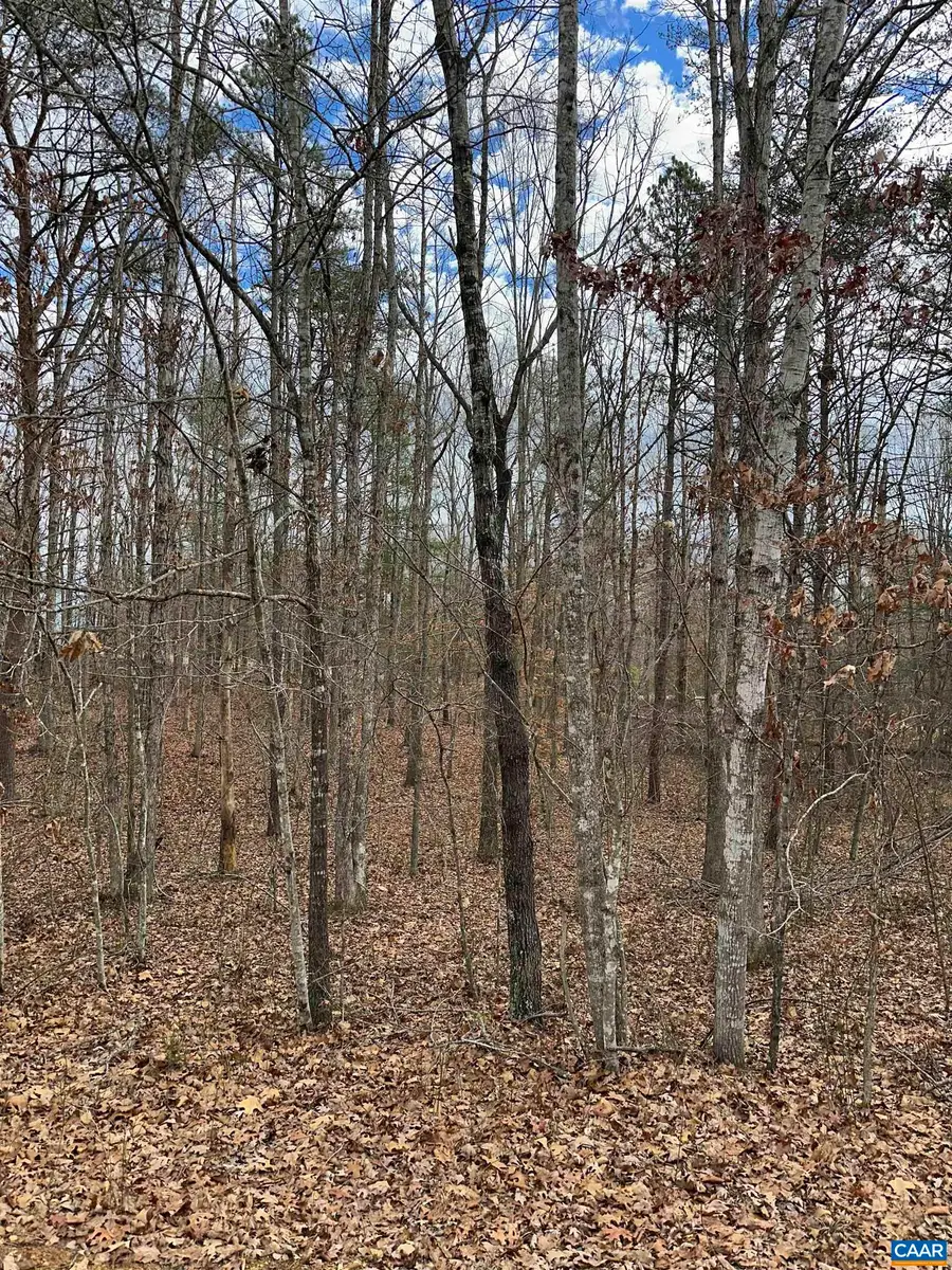 Lot 220 Pinehurst Dr, Louisa, VA 23093 - #3