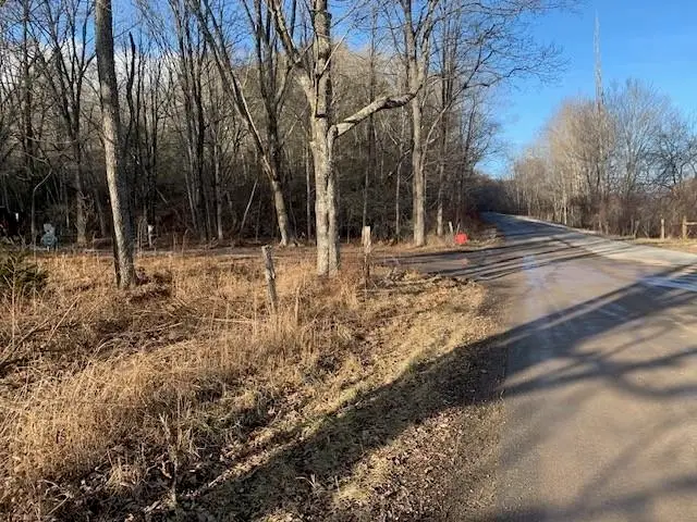 TBD Upper Back Creek Rd, Monterey, VA 24465 - #2