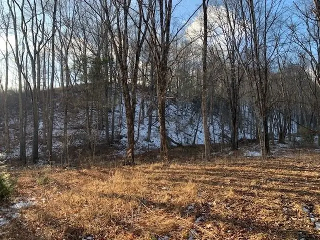 TBD Upper Back Creek Rd, Monterey, VA 24465 - #3