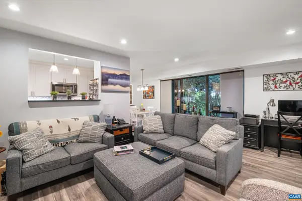 511 1st St N, Charlottesville, VA 22902