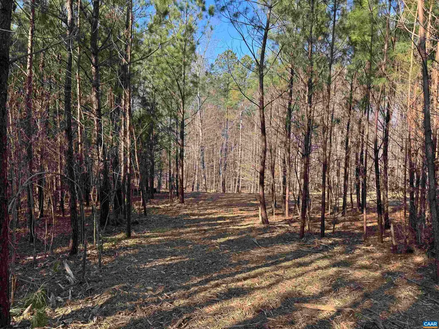 3860-1 Gilbert Station Rd, Barboursville, VA 22923 - Image #2