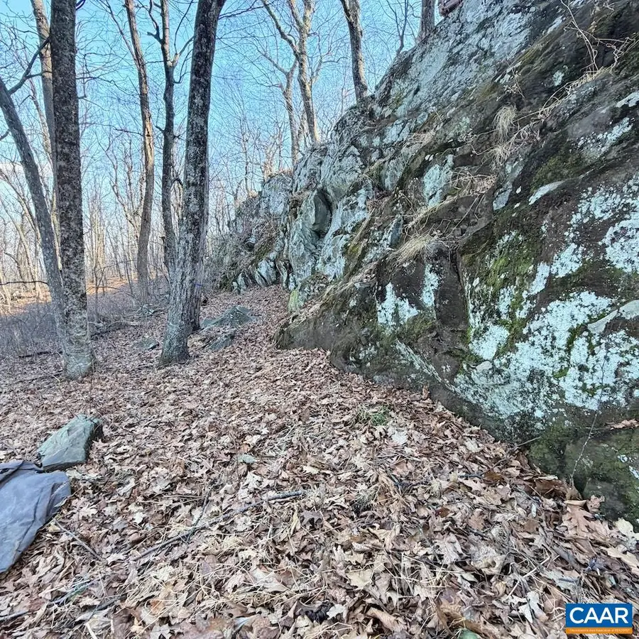 462 Deer Springs Ln, Wintergreen Resort, VA 22967 - #2