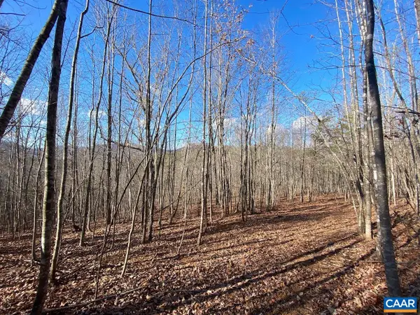 Walnut Grove Ln, Lovingston, VA 22949