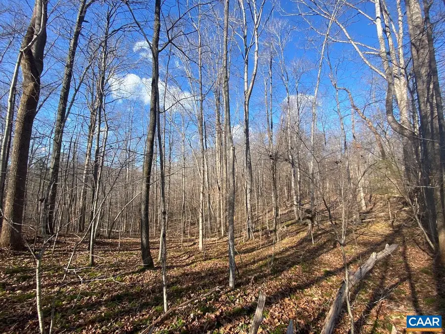 Walnut Grove Ln, Lovingston, VA 22949 - Image #3