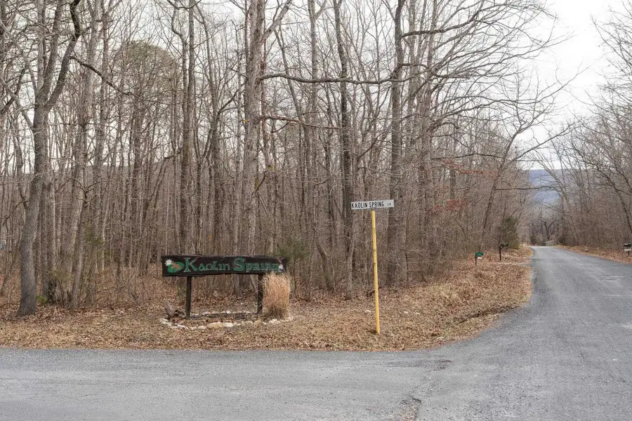 TBD Kaolin Spring Ln, Greenville, VA 24440 - Image #3