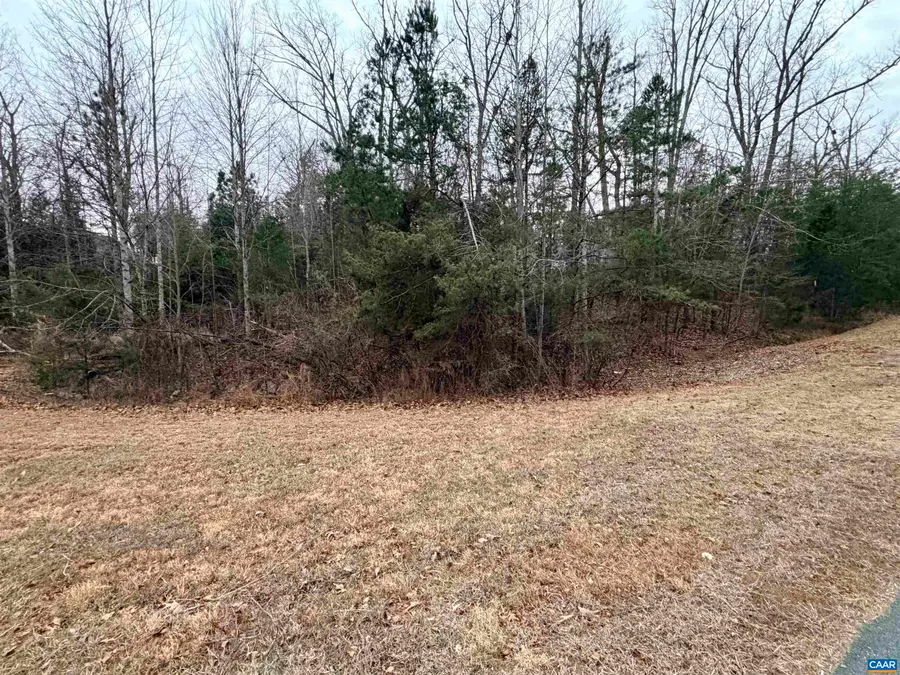 2 Goodman Ln, Palmyra, VA 22963 - #2