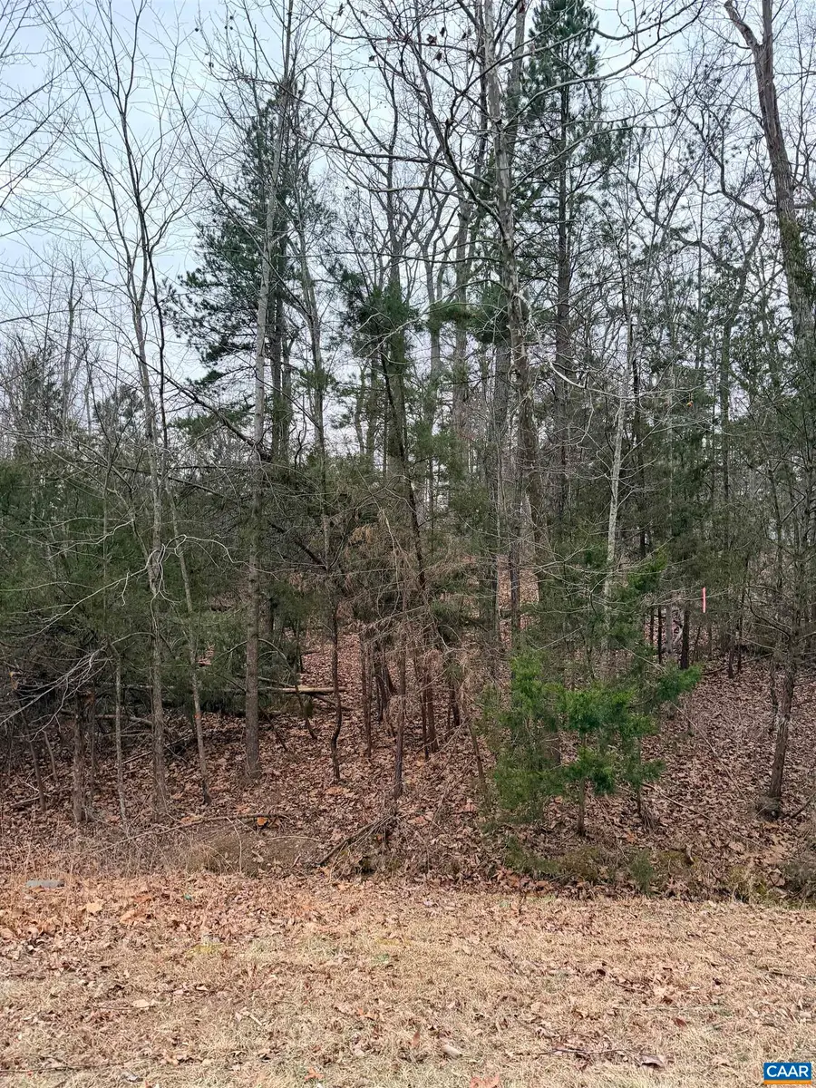 2 Goodman Ln, Palmyra, VA 22963 - #3