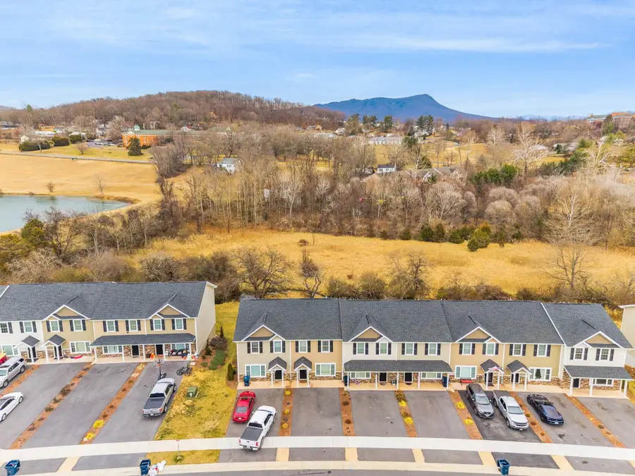 1113 Harvest Ct, Massanetta Springs, VA 22801 - #3