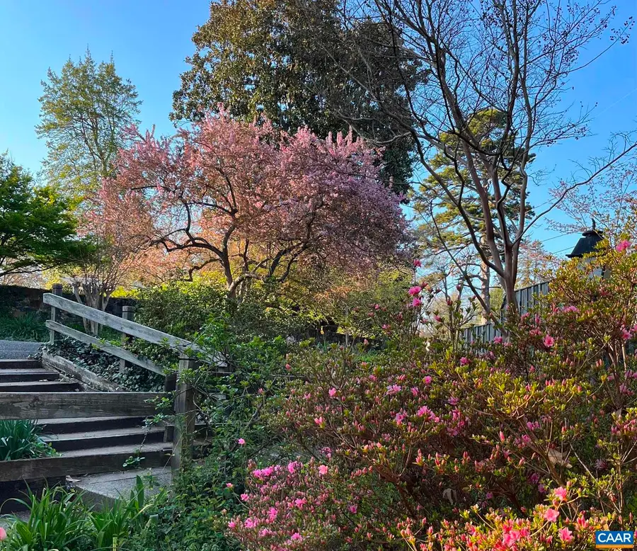 810 Tunlaw Pl, Charlottesville, VA 22903 - #3