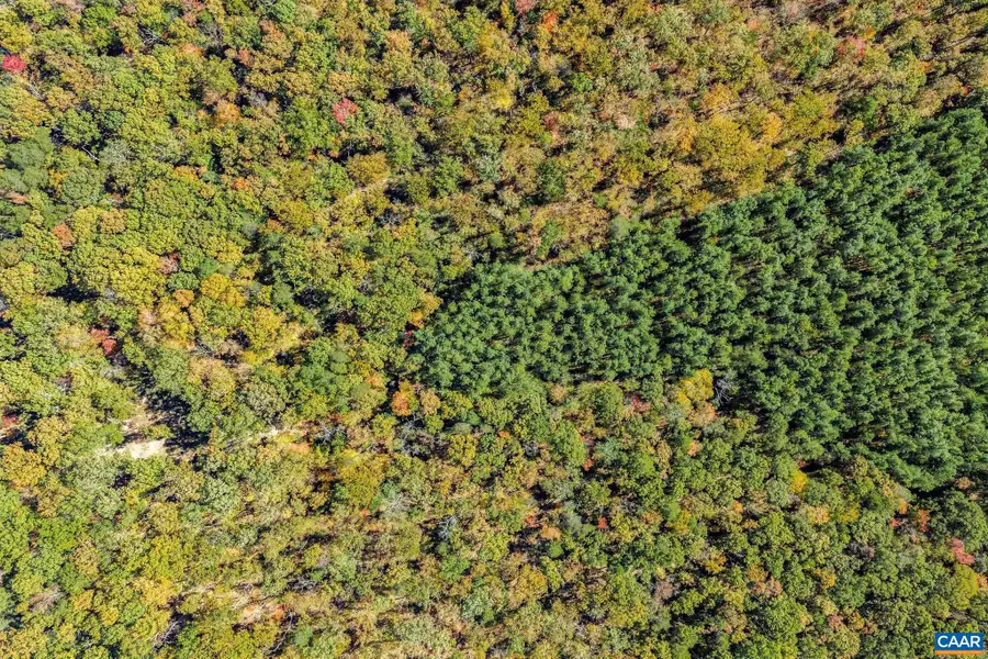 Lot 1 Coles Rolling Rd, Scottsville, VA 24590 - #2