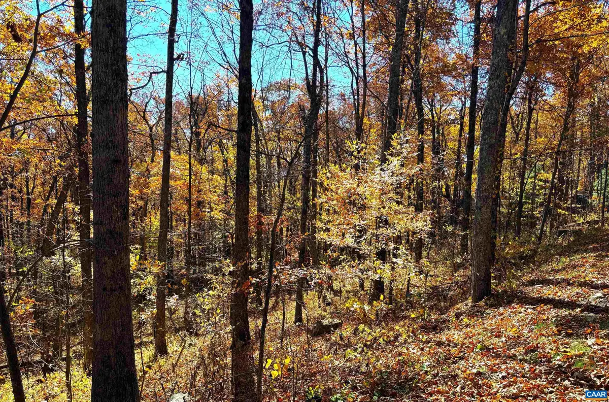 107 Firtree Dr, Wintergreen Resort, VA 22967 - #1