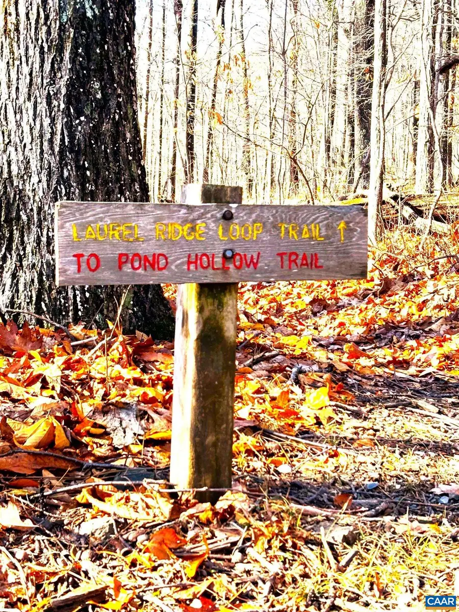 107 Firtree Dr, Wintergreen Resort, VA 22967 - #2