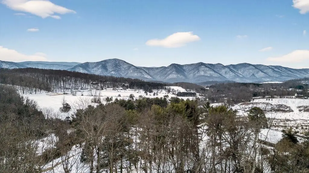 125 Spring Ridge Ln, Fairfield, VA 24435 - #1