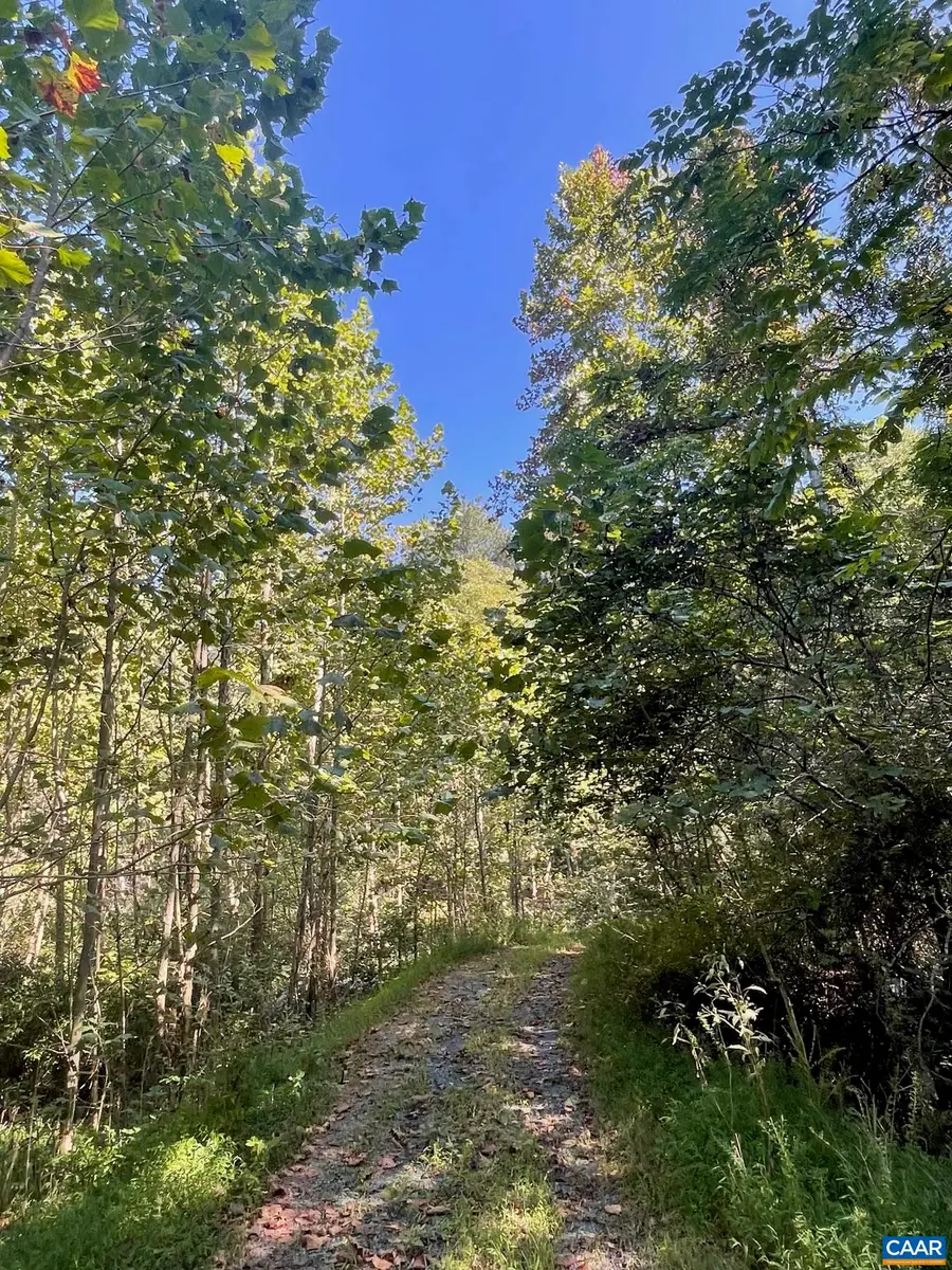 TBD Stony Point Pass, Keswick, VA 22947 - #3