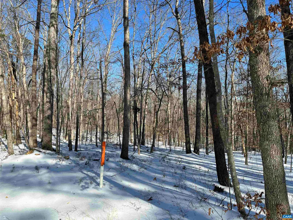 02 Beaverdam Rd, Keswick, VA 22947 - #1