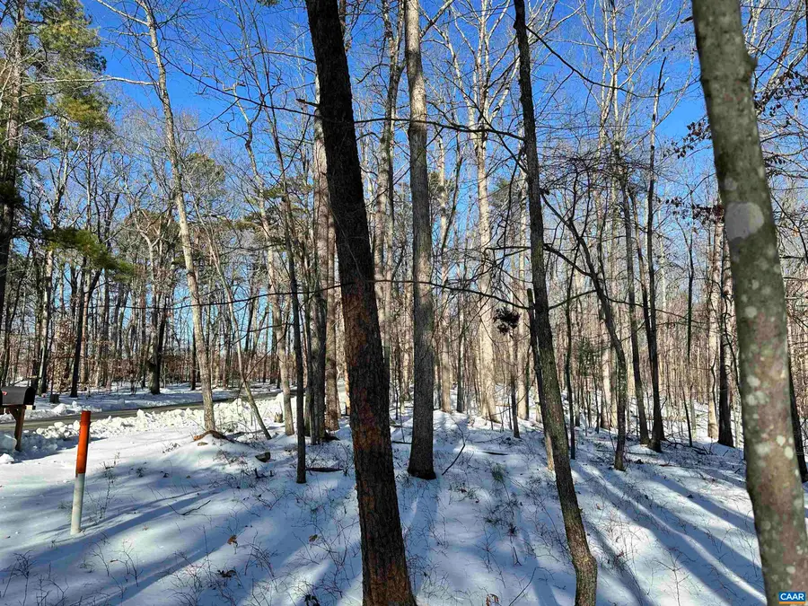 02 Beaverdam Rd, Keswick, VA 22947 - #2