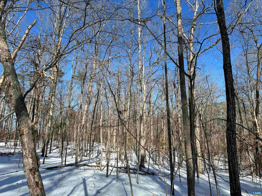 02 Beaverdam Rd, Keswick, VA 22947 - #3