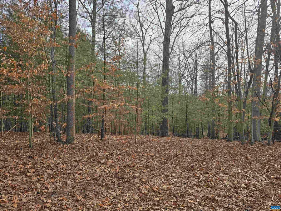 5 Runaway Ln, Stanardsville, VA 22973 - #2