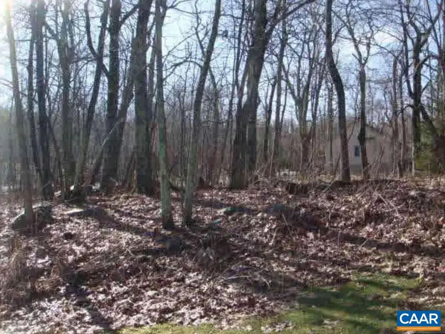 lot 6 Devils Bend Ct, Wintergreen, VA 22958 - #3