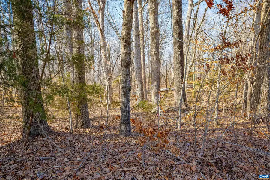 3335A Redd Shop Rd, Farmville, VA 23901 - #2