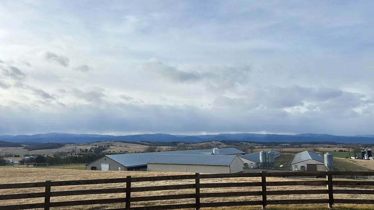 102 Centerville Rd, Bridgewater, VA 22812 - #1