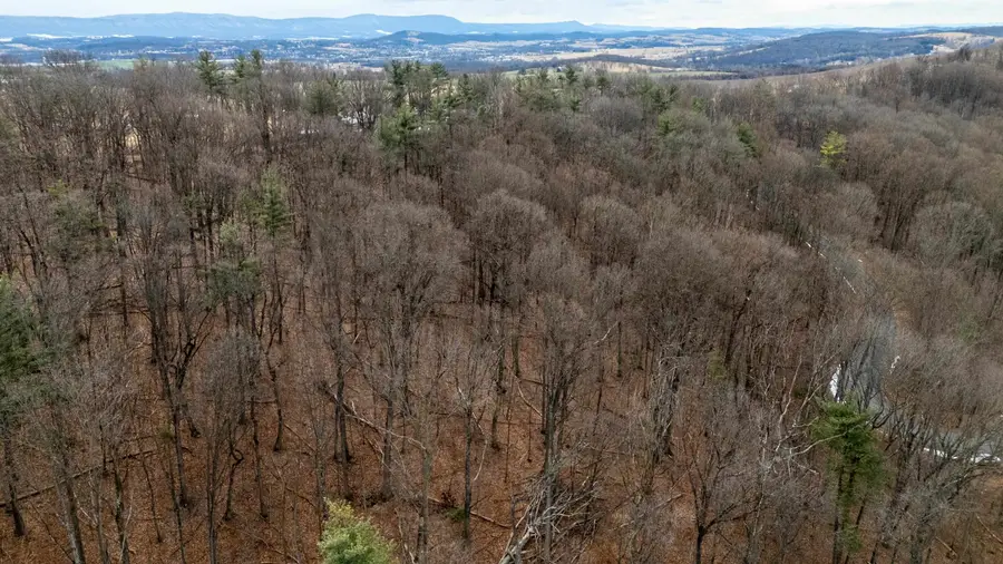 0 Vetters Rd, Timberville, VA 22853 - #2