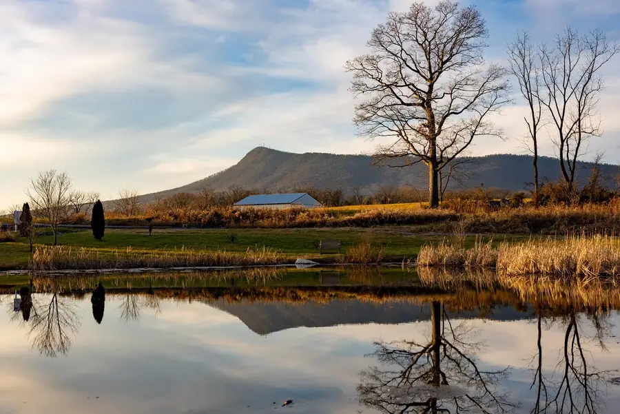 Lot-46 Dalmatian Dr, McGaheysville, VA 22840 - #3