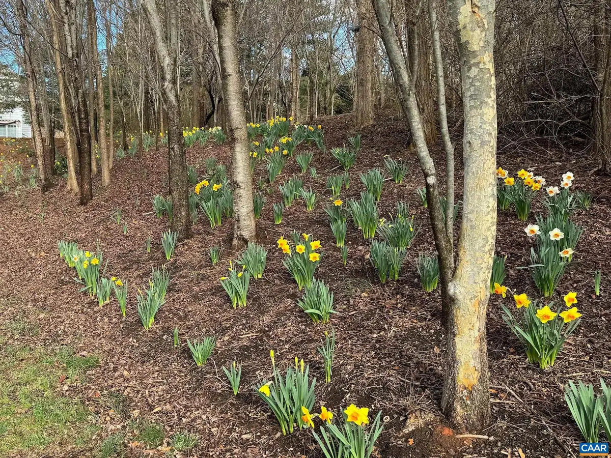 TBD Edmond Dr, Crozet, VA 22932 - #1