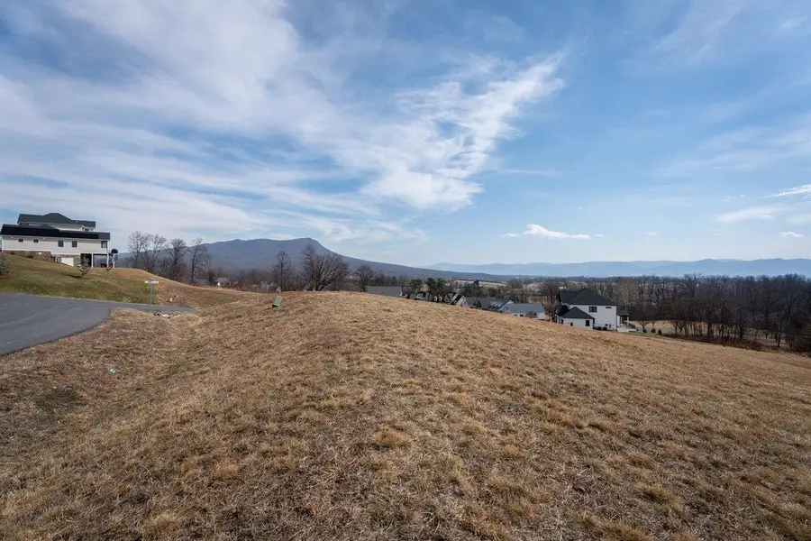 Lot 199 Colchester Ct, Massanetta Springs, VA 22801 - #3