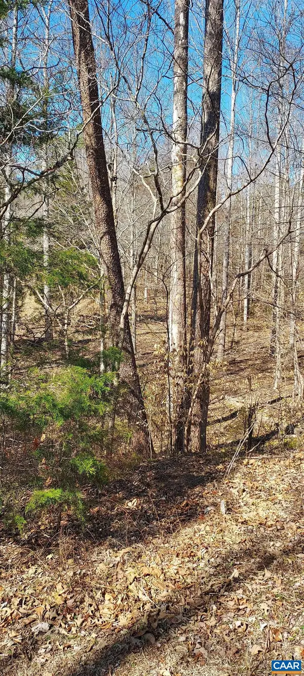 460 Jefferson, Palmyra, VA 22963