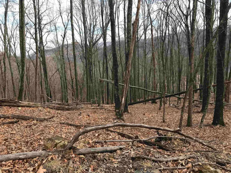 35 Dogwood Ln, Monterey, VA 24465 - #2