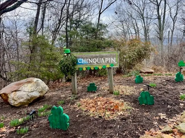 TBD Ben Lyons Ln, Lyndhurst, VA 22952 - #2