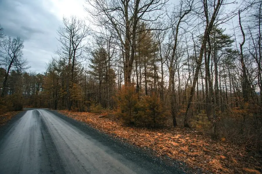 Lot 47 Fetterbush Ln, Hinton, VA 22831 - #3