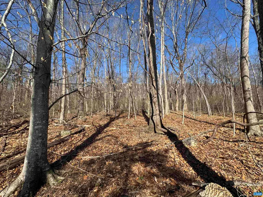 Lot 33 Monocan Dr, Nellysford, VA 22958 - #3