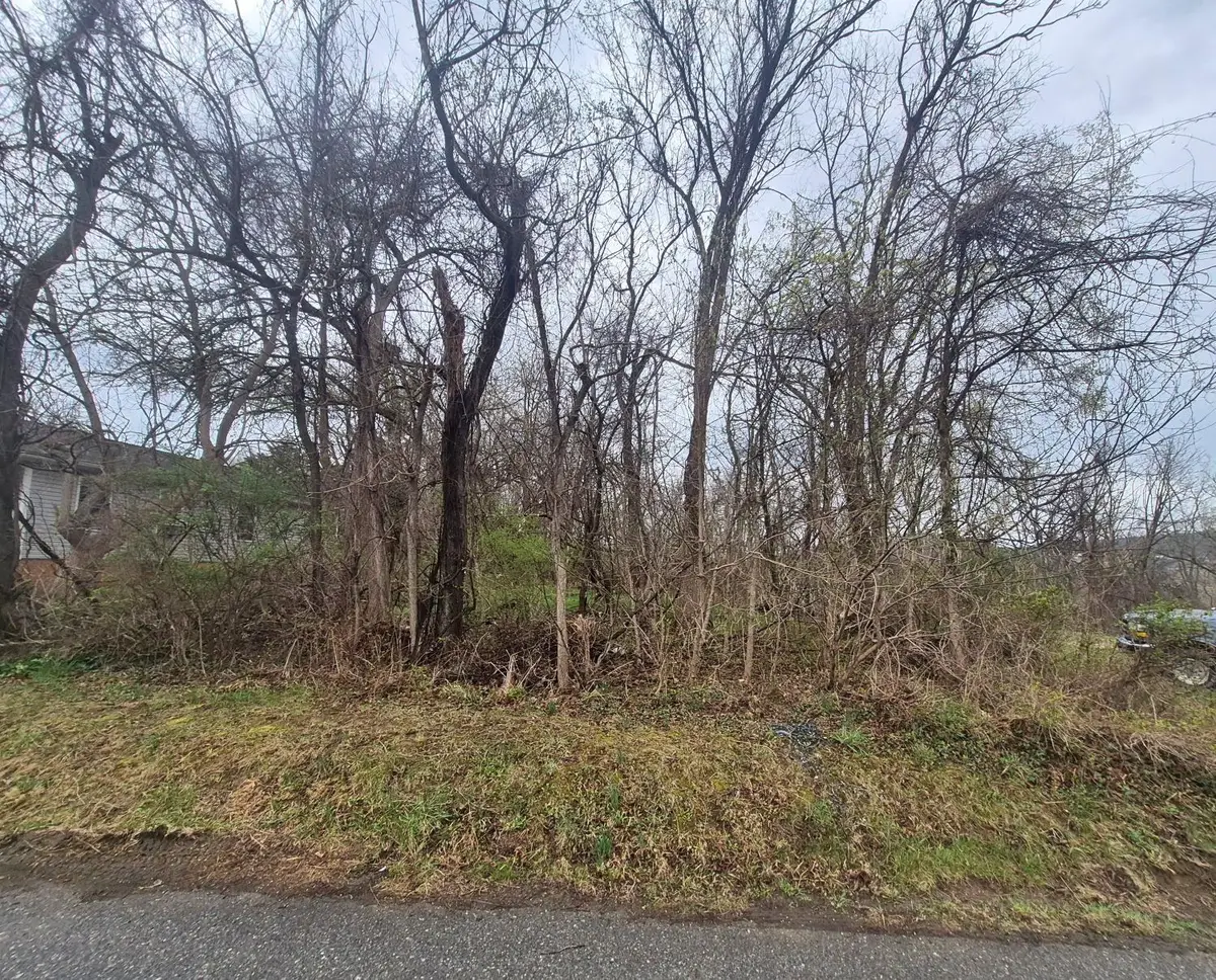 415 Jersey St, Staunton, VA 24401 - #1