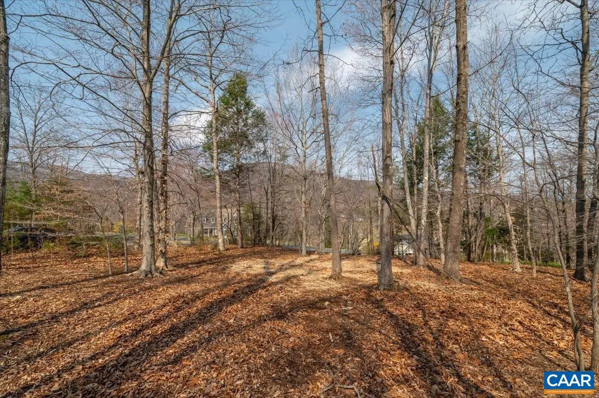 168 Cedar Glen Close, Nellysford, VA 22958 - #1