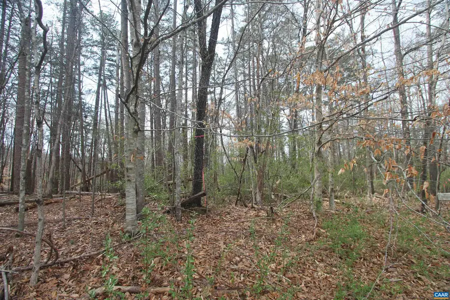 TBD Sulphur Mine Rd, Charlottesville, VA 22911 - #3