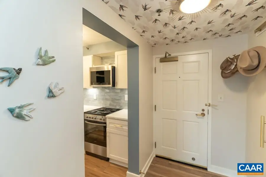 250 Main St W, Charlottesville, VA 22902 - #3