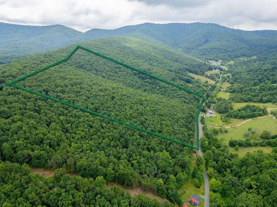 TBD Cubbage Hollow Rd, Stanley, VA 22851 - #2