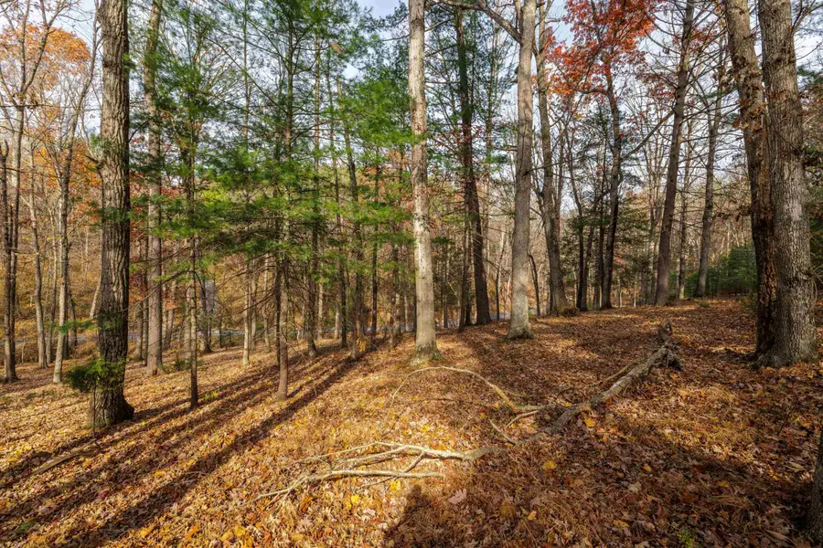 TBD Plum Tree Draft Rd, Churchville, VA 24421 - #2