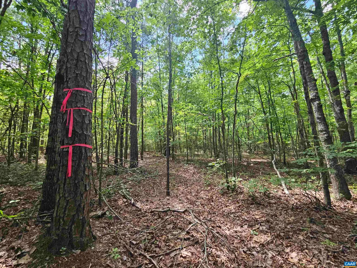 100 Ac James Anderson Hwy W, Gladstone, VA 24553 - #1