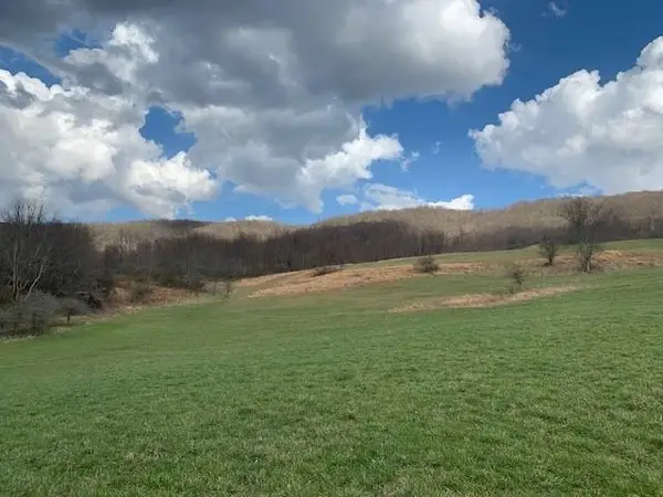 TBD Big Valley Rd, Monterey, VA 24465